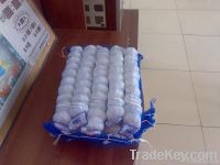 pure white garlic tube packing