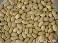 Blanched peanut kernels