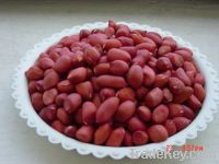 Red skin Peanut Kernels