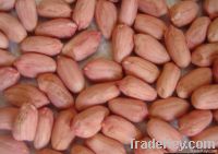 Chinese raw peanuts