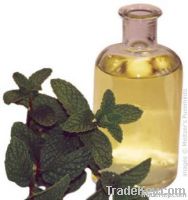 Pure Natural Peppemint Oil