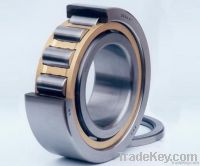 Single Row cylindrical roller bearing