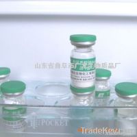 High Quality Sodium Hyaluronate Food Grade