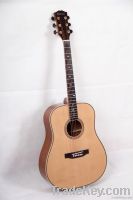 acoustic guitar