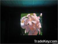 Ultra-thin Display P25