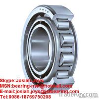 Cylindrical Roller Thrust Bearing