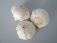 Pure White Garlic