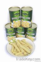 canned baby corn