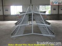 Battery chicken layer cage