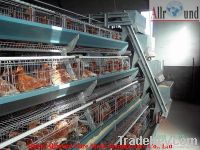 Chicken layer battery cage