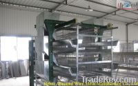 Chicken laying cage