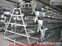 Poultry layer farming equipment