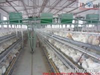 Poultry egg layer cage