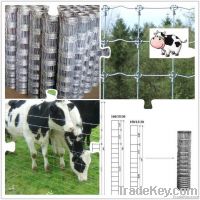 cattle fence