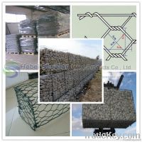 hexagonal wire mesh