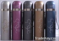 vacuum flask