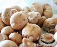 Meadow Mushrooms Thinly Sliced with Oil, Garlic &amp; Parsley