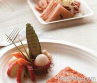 Sugarcane Biodegradable Tableware From China