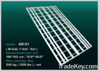 ESWN Quick Ramp (AR-01)