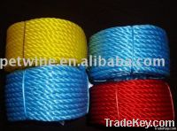 pp danline rope