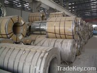 hot rolled stainless steel coil/plate