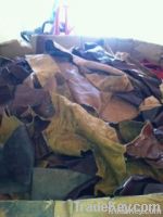 scrap leather