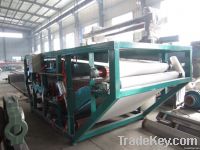 automatic belt filter press from China