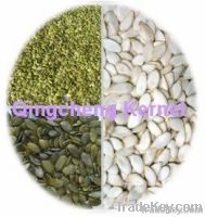 in shell shine shin%snow white pumpkin seed