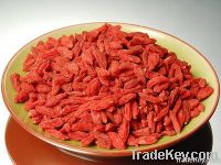 Goji berries/ lycium barbarum