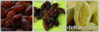 red raisin&green raisin