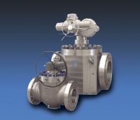 Top Entry Ball Valves