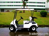 2 seater golf cart