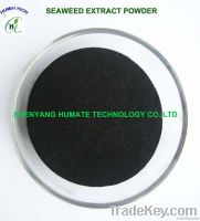 Seaweed Extract Flake/Powder