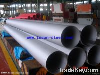 Seamless Stainless Steel Pipe/Tube