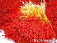 bunch saffron threads online