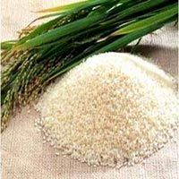 RICE SUPPLIER| PARBOILED RICE IMPORTERS| IMPORT