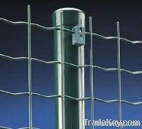 Welded Euro Fence