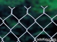 Chain Link Fence