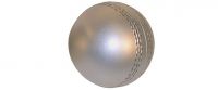 Cricket Ball
