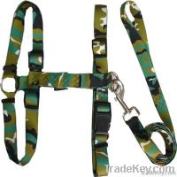 Pet harness and lead