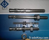 stainless steel AISI304/316L A2 A4 wedge anchor