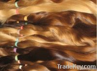 Virgin Human Hair