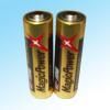 AA Size Alkaline Batteries (LXA-016)