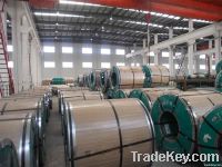 TISCO Stainless Steel Coil 304 1.4301 zftdpj(at)yahoo(dot)com