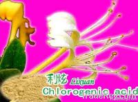 Chlorogenic acid