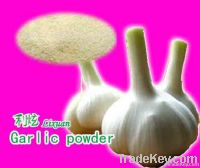 Garlic powder