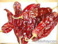 sweet paprika