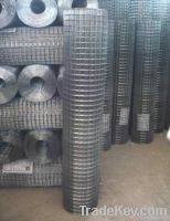 welded wire mesh