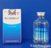 Human Immunoglobulin for Intravenous Injection