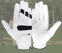 Golf Glove